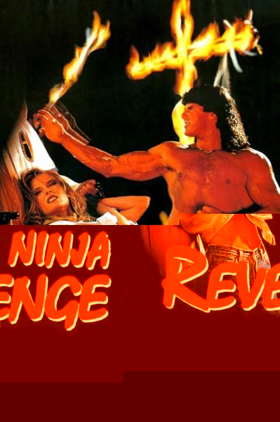 Ninja Vengeance