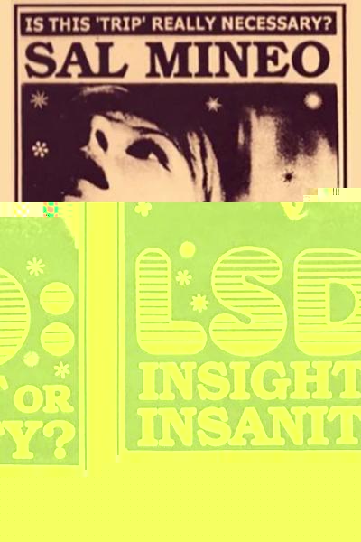 LSD: Insight or Insanity?