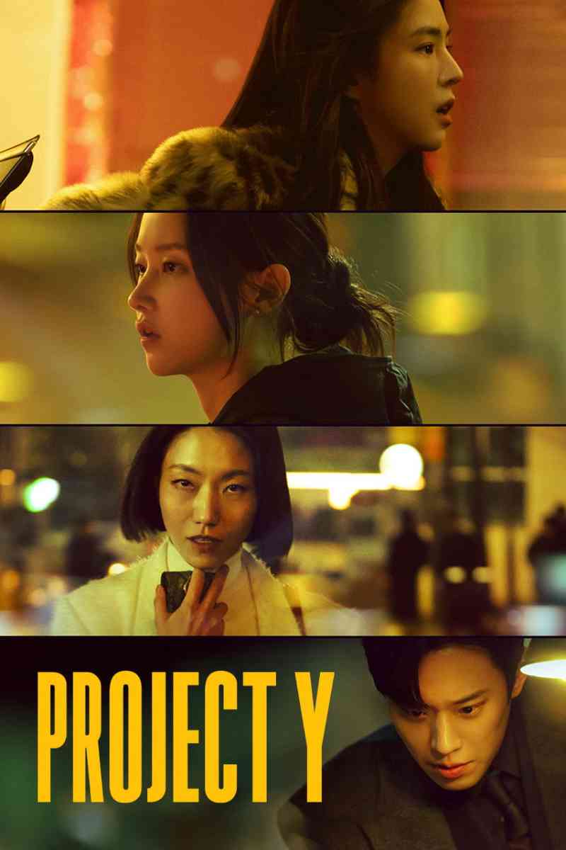 Project Y