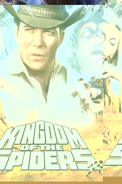 Kingdom of the Spiders