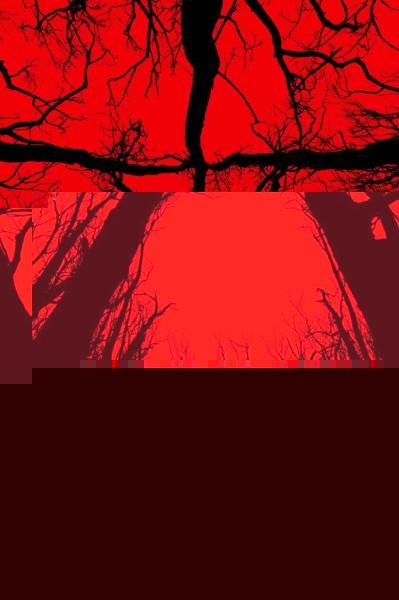 Blair Witch