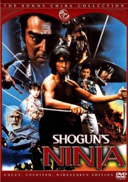 Ninja Warriors