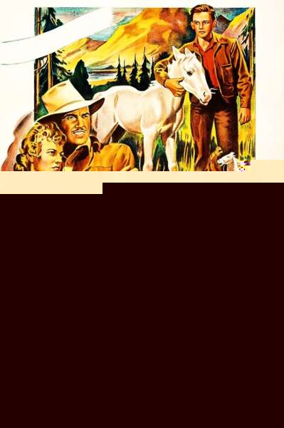 Thunderhead: Son of Flicka