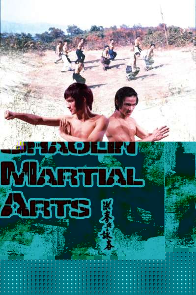 Shaolin Martial Arts